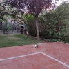 Hacer puesta a punto de jardín