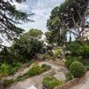 Mantener Jardín