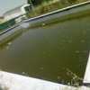 Mantenimiento Piscina Unifamiliar