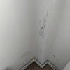 Pintar habitacion