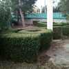 Diseñar Jardín