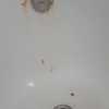 Esmaltar Bañera