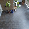 Limpieza Vivienda (1 vez)