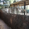 Colocación de cercado metálico y brezo de 2 x 30 m