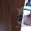 Reparar Carpintería Madera