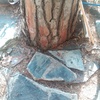 Talar árboles