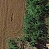 Desbrozar Jardín
