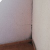 Reforma Vivienda