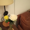 Limpieza De Vivienda (periódica)