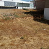 Construir Casa