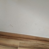 Pintar Interior De Vivienda