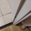 Fumigación o Desinsectación