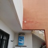 Pintar Interior De Vivienda