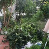 Desbrozar 30-40m²