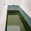 Limpieza puntual de piscina