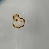 Esmaltar Bañera