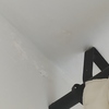 Hacer Trabajos Pladur en Vivienda