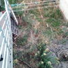 Desbrozar Jardín