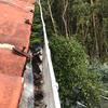 Limpieza de canalones o bajantes