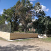 Talar árboles