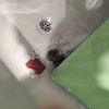 Esmaltar Bañera