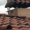Reforma Integral Tejado Casa (Unifamiliar)