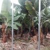 Instalar Cercados de malla o similar