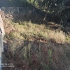 Construir Muro