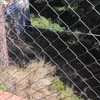 Desbrozar Jardín