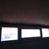Limpieza Vivienda (1 vez)