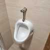 Pintar piso, quitar inodoro de pared, quitar gotele salón techo incluido, tendría que hacerse todo antes del 24 de febrero urgente