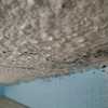 Impermeabilizar Vivienda o Local