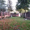 Hacer puesta a punto de jardín