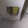 Trabajos Varios Manitas
