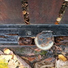 Reparar Puerta Garaje