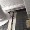 Cambiar cristales en puertas y ventanas