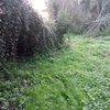 Desbrozar Jardín