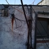 Reparar Antena