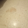 Pulir Suelo Vivienda (Parcial)