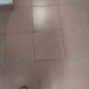 Trabajos varios de albañilería (o reforma)