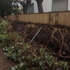 Otros Trabajos De Jardinería