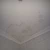 Pintar Interior De Vivienda