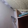 Otros Trabajos De Albañilería