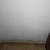 Pintar Interior De Vivienda