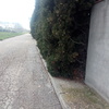 Desbrozar Jardín