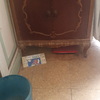 Tratar carcoma y/o termitas