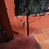 Trabajos varios de albañilería (o reforma)