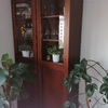 Lacar Muebles