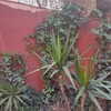 Otros Trabajos De Jardinería