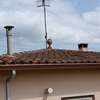Reforma Integral Tejado Casa (Unifamiliar)